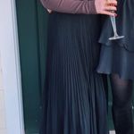 Wilfred Aritzia  Twirl Pleated Skirt Photo 1