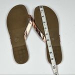 Charlotte Russe Women's Metallic Gold Tone Sandals Sz 8 Photo 3