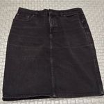 Ralph Lauren LRL Lauren Jeans Co.  Stretch Denim Skirt Dark Wash Size 12 P Photo 0