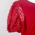 Mittoshop Red Sheer Textured Puff Short-Sleeve Preppy Cute Blouse Small Photo 3