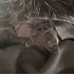 ZARA Woman Luxe Sleeveless Coat Faux Fur Removable Collar Black Small NWOT Photo 5