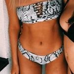 NWT Snake Print Bikini Black Size M Photo 0