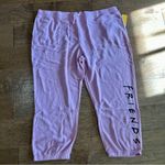 Friends Women’s Plus Size Casual Jogger Pants Light Mauve Size 3X NWT Comfy Purple Photo 0