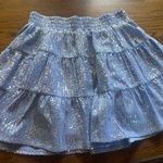 Endless Rose Sequin Skirt Photo 0