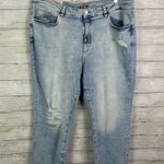 DL1961  Patti Straight High Rise Vintage Ankle Jeans Size 20W Photo 0