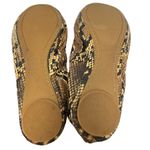 BCBGeneration  Women’s 8 B Animal Print ballet flats Photo 6