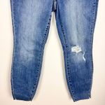 Judy Blue  Women's High Waist Skinny Fit Boho Embroidered Dandelion Jeans Sz 14W Photo 9