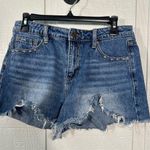 Special A  Los Angeles Distressed Jean Shorts Size Medium EUC Photo 0