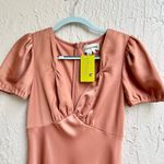 Sachin + Babi midi fit and flare dress in blush size 6 Photo 4