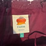 Farm Rio Lace Trim Pintuck Photo 4