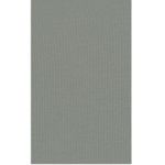  cotton jersey t-shirt Mineral green SKIMS cotton jersey‎ tshirt NWT size S Photo 5