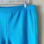 None Teal Fleece Lined Jogger Sweatpants Sz L Photo 1