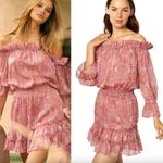 MISA Los Angeles Washed Rose Pink Danae Floral Blouson Mini Dress Sz XS NWT Photo 5