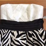 Teeze Me Bubble dress  Photo 2