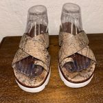 Gentle Souls Kenneth Cole Lilly Snakeskin Print Toe Ring Platform Sandal Shoes Size 8 Photo 3