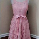 Barbiecore Pink Blush Lace Satin Sash Simply Devine Cocktail Dress by Marina Size 6 Photo 0