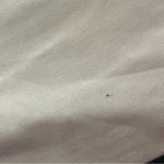 Burberry Cream High Rise Elastic Drawstring Waist Joggers, Size 8 Photo 12