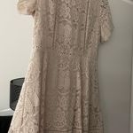 Blu Pepper Lace Dress Photo 0