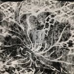 Lululemon  sport bra pushing limit Photo 4