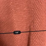 EXPRESS  v-neck burnt orange sweater Photo 3