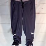 Lululemon $128 Runderful Rulu lined Pants Hiking Fall joggers 4 Black Grape Photo 6