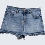 Falls Creek  Denim Shorts Vintage Cut-Off Photo 0