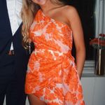 Showpo Dress Photo 1