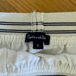 Splendid Skirt Photo 2