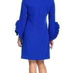 Katherine Barclay NWT Hilary Radley for Woven Ruffle Sleeve Lined Dress $168 Photo 6