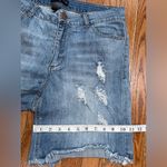 Fashion to figure  Blue Distressed Jean Shorts Photo 9