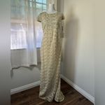 Calvin Klein NWT  Beige Metallic Mesh Cap Sleeve Stretchy Floor Length Gown Photo 1