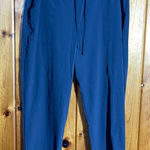 Nike  women’s gray Joggers light weight athleisure workout active causal large Photo 0