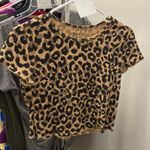 Awake 6 Leopard Crop Top Photo 0