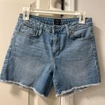 Just Black  Denim Shorts Photo 0