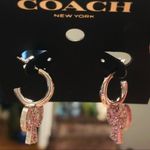 Coach Silver Pave Bow Hoop Earrings NWT Photo 1