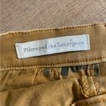 Pilcro and the Letterpress  size 4 tan mini skirt Aline button down dress skirt Photo 4