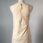 Cotton On | Cream Lace Sleeveless Mini Dress Photo 3