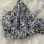 Athleta Zimbabwe Animal Print underwire Bikini swim Top black white blue 38 B C Photo 1