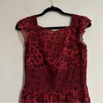Free People Burgundy Floral Lace Applique Maxi Dress Size 4 Whimsigoth Romantic Photo 9