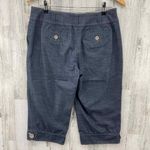 Loft Ann Taylor Capri Pants Womens 8 Blue Chambray Viscose Cotton Pockets Photo 2