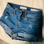 PacSun Bullhead Shorts Photo 0