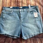 Levi Strauss & CO. Signature Levi Strauss Women Super Stretch High Rise 5” Inseam Shorts Plus Size 28 Photo 0
