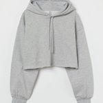 H&M Cropped Hoodie Photo 0