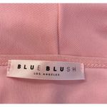 Blue Blush  Mesh Bodycon Mini Dress Light Pink Size Large NWT Photo 5