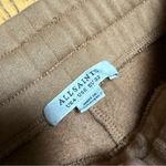 All Saints Lucia Jogger Sweatpants Brown size 0 Photo 4