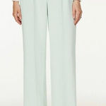 Aritzia ’s Wilfred The Dashwood Sz 8 Pant in Mint Photo 0