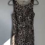 Xxi  Black and Tan Sheath Mini Dress Photo 0