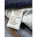 Judy Blue  Parkersburg Mid Rise Dad Straight Jeans Size 16 W Stretchy Casual Boho Photo 8