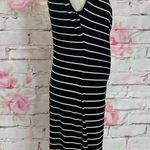 Ralph Lauren Lauren  black cream striped sheath dress size 12 Photo 2