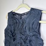 Samuel Dong 100% Silk 3D Rosette Brodee Organza Shift Dress Size 8 Black‎ Black Photo 4